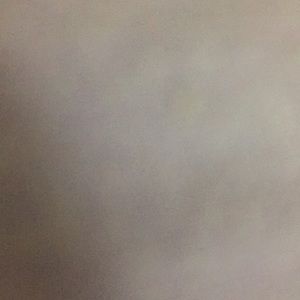 Meet your Posher, Eva